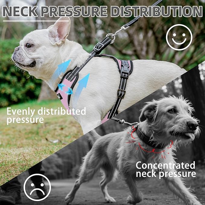 PUPTECK Dog Harness and Leash Set Small Sized, Adjustable Reflective Escape Proof Puppy Vest, No Pull Walking Harness Easy Control