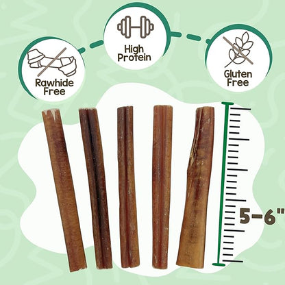 Nature Gnaws Large Bully Sticks for Dogs 5-6" (10 Count) - Thick Long Lasting for Aggressive Chewers and Large Dogs - Natural Beef Dog Chew Bones