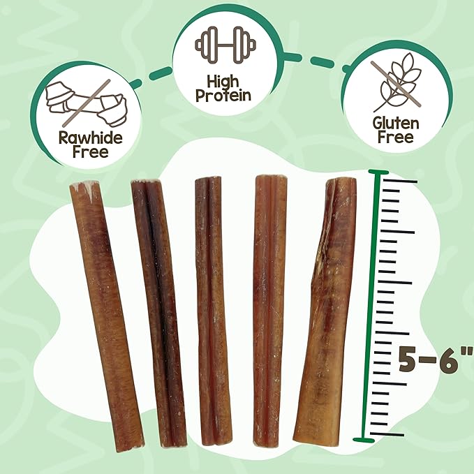 Nature Gnaws Large Bully Sticks for Dogs 5-6" (15 Count) - Thick Long Lasting for Aggressive Chewers and Large Dogs - Natural Beef Dog Chew Bones