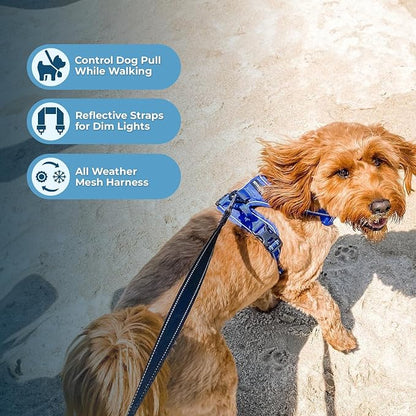 Voyager Dog Harness Dual Leash Attachment No-Pull Control Adjustable Soft but Strong Pet Harness for Medium and Large Dogs with 3M Reflective Technology, Royal Blue Lattice Nylon, L (Chest: 25-30")