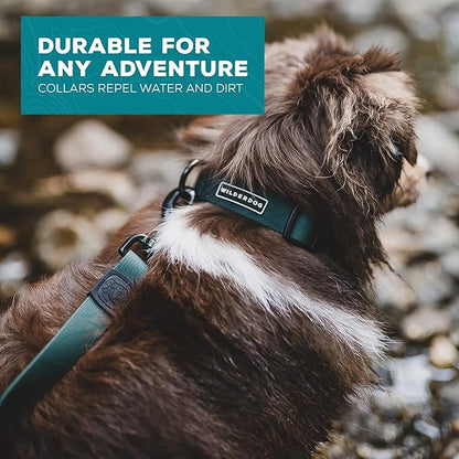 Wilderdog Waterproof Dog Collar - Repels Water & Dirt - Small 11"-15" - Cedar