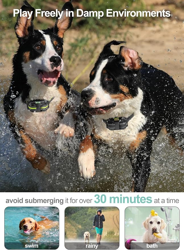 FunniPets Dog Shock Collar 2 Pack - Dog Training Collar with Remote IP65 Waterproof E Collar for Dogs Training with Shock Vibrate Beep and Light Modes for Small Medium Large Dogs