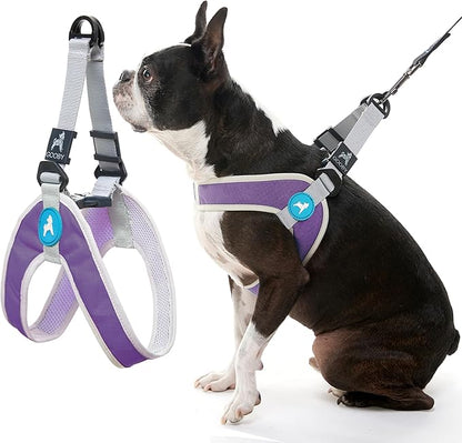 Gooby Simple Step in III Harness - Purple, Small - Small Dog Harness with Scratch Resistant Outer Vest - Soft Inner Mesh Harness for Small, Medium Dogs
