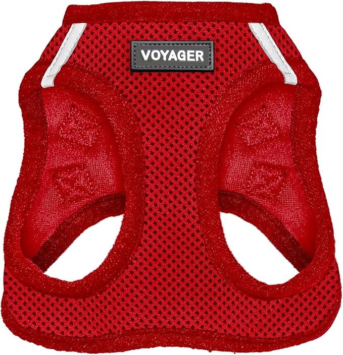 Best Pet Supplies Voyager Step-in Air Harness - All Weather Mesh, Reflective, No Pull Harness for Dogs, Cats - Secure with Hook & Loop Fastener, Buckle, Double D-Rings - Red, XXXS