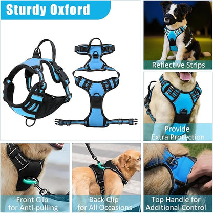 No Pull Dog Harness Adjustable Collar & Leash Set - Dog Halter Harnesses Collapsible Bowls & Poop Bag Dispenser Muzzle ID Tags Toys Fits Small Medium Large Dogs (Blue-M)