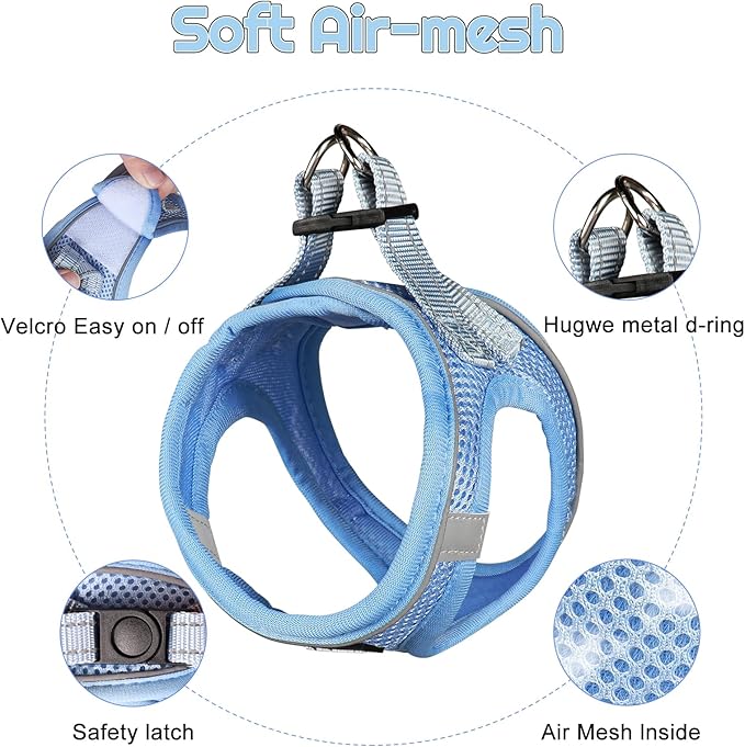 Dog Harness for Small Dogs and Leash Set, Honeycomb Grid, Reflective Lightweight Harness & Anti-Twist Pet Lead Multi Color, Size: XS-S-M. (XS, Aqua Blue)