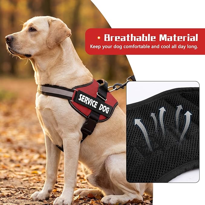 MUMUPET Service Dog Harness, No Pull Reflective Adjustable Vest with Handle, Soft Breathable Padding for Small Dogs, 2 Removable Velcro Patches (Red, S)