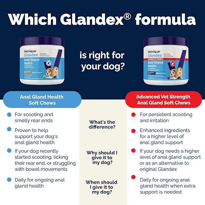 Vetnique Glandex Anal Gland Soft Chew Treats with Pumpkin for Dogs Digestive Enzymes, Probiotics Fiber Supplement for Dogs Boot The Scoot (Bacon Flavor Chews, 60 Count) (Pack of 2)