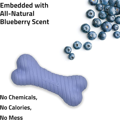 Playology Dog Toys | Dual Layer Bone Durable Chew Toy Bone for Dogs | Medium Blueberry Scented Toy - Easy to Clean and Made from Non Toxic Materials