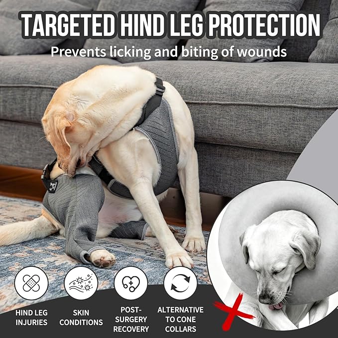 Arblina Dog Recovery Sleeve for Hind Leg, Adjustable Buckled Rear Leg Sleeve to Prevent Licking Wounds for Medium Large Dogs After Surgery, Thick Leg Sleeve as Cone Collar Alternative, L