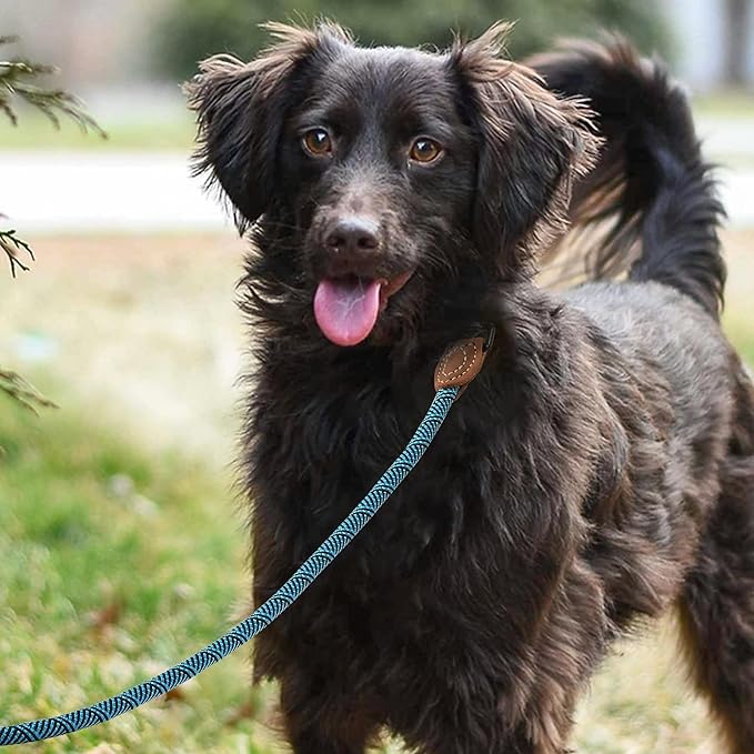 Mile High Life Rope Leash with Genuine Leather Connection, 6 FT/5 FT/4 FT, Heavy Duty Leash for Medium & Large Dogs (Turquoise Green, 60 Inch)