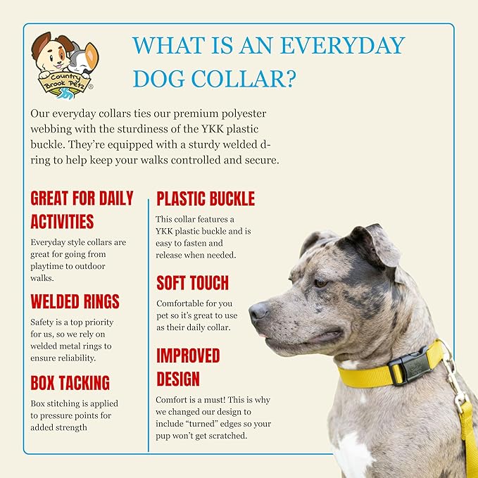 Country Brook Petz - Everyday Nylon Dog Collar for Large, Medium, and Small Dogs and Puppies - for Everyday Use in 15+ Cool Colors (Large, 1 Inch Wide, Yellow)