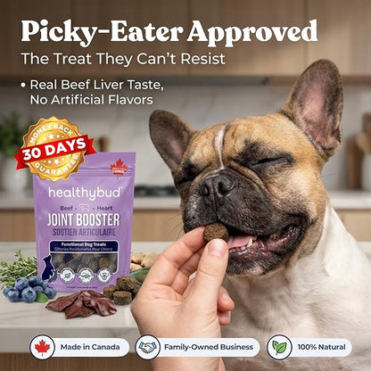 healthybud Hip and Joint Dog Chew - Glucosamine Soft Beef Liver Bites for Senior Dogs, Arthritis Support (4.6oz (2-Pack))