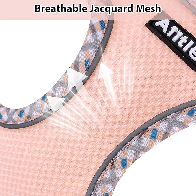 AIITLE XXS Dog Harness & Leash Set - Breathable Reflective No-Choke Small Dog Harness for Teacup Puppies, Indoor/Outdoor Use - Boston Terrier, Maltese, Chihuahua (Turquoise-Pink, XXS)
