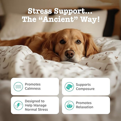 Zesty Paws Calming Chews for Dogs - for Everyday Stress, Relaxation, Composure, and Separation Bison 90 Count