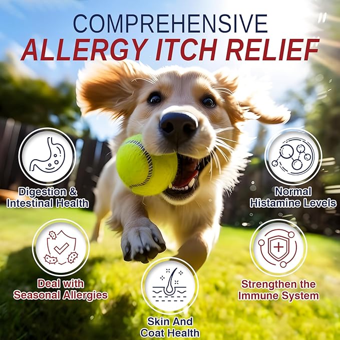 Dog Allergy Support Chews 200 CT, Dog Skin and Itchy