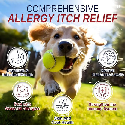 Dog Allergy Support Chews 200 CT, Dog Skin and Itchy