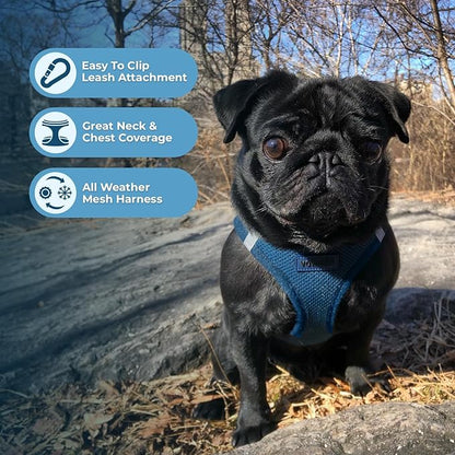 Best Pet Supplies Voyager Step-in Air All Weather Mesh Harness and Reflective Dog 5ft Leash Combo with Neoprene Handle, for Small, Medium and Large Breed Puppies - Set (Blue), Large