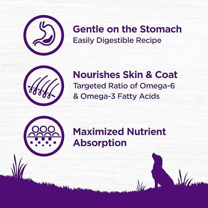 Wellness Complete Health Sensitive Skin and Stomach Dry Dog Food, Wholesome Grain Kibble, Natural, Chicken Free, Salmon and Rice Recipe, 24 lb Bag
