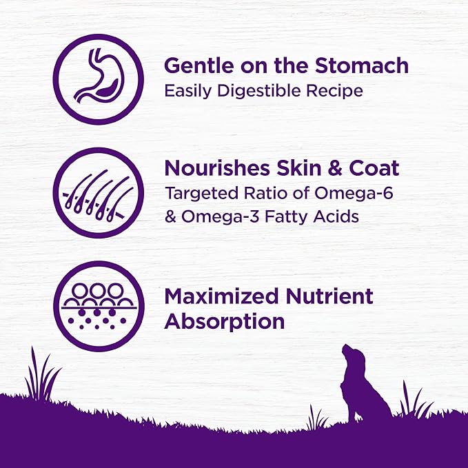 Wellness Complete Health Sensitive Skin and Stomach Dry Dog Food, Wholesome Grain Kibble, Natural, Chicken Free, Salmon and Rice Recipe, 5 lb Bag
