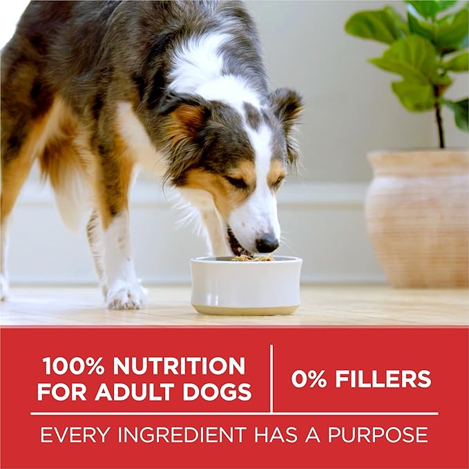 Purina ONE Small Bites Beef and Rice Formula Small High Protein Dry Dog Food Natural With Added Vitamins, Minerals and Nutrients - 8 lb. Bag