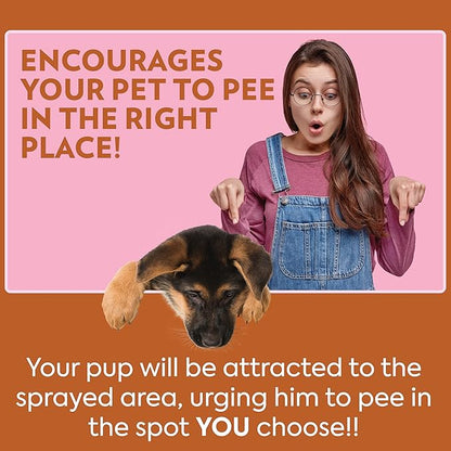 OUT! PetCare Go Here Attractant Dog and Puppy Potty Training Spray, Safe & Effective Puppy Pee Spray, Dog Housebreaking Supplies, Indoor and Outdoor House Training Tool, 32 oz