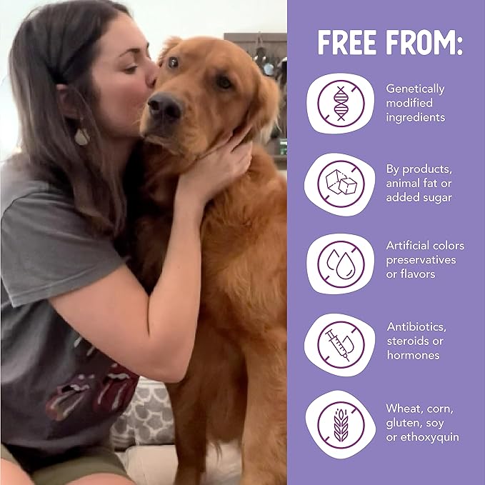 Health Extension 95% Beef Grain-Free Wet Dog Food, High Protein Recipe, Limited Ingredients, Picky Eaters, Ideal for Sensitive Stomachs 5.5 oz (Case of 24)