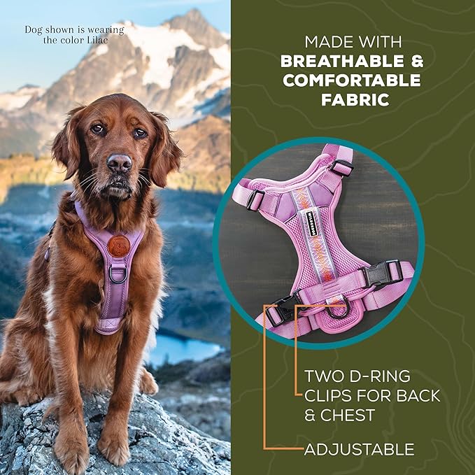 Wilderdog Lightweight Dog Harness with Reflective Straps - Large - Pacific Blue