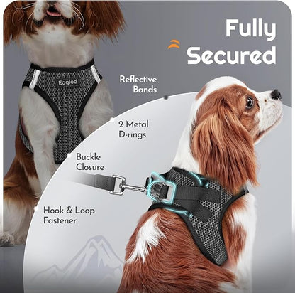 Eagloo Small Dog Harness and Leash Set, Step in Puppy Vest with Breathable Soft Mesh, Walking Reflective Pet Harness for Extra Small Dogs, Gray, XXS