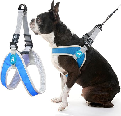 Gooby Simple Step in III Harness - Blue, Large - Small Dog Harness with Scratch Resistant Outer Vest - Soft Inner Mesh Harness for Small, Medium Dogs