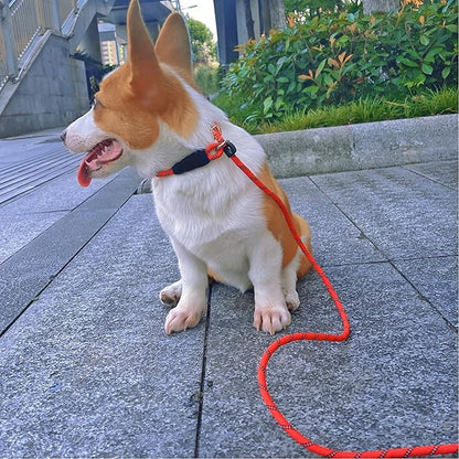 Long Slip Lead Dog Leash Reflective Anti-Choking 12 FT/20 FT/30 FT/50 FT Rope Training Leash for Medium Dogs Small Puppy Pets (30ft, Black)