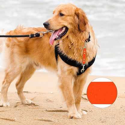 PetBonus Dog Collar Safety Clip, Waterproof Backup Safety Strap for Dog Harness to Prong Collar, Odor Proof Double Ended Clasp Leash Connector for Training Walking (Orange)