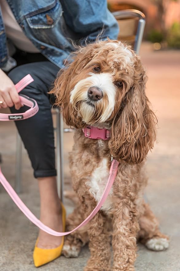 Blueberry Pet 3M Reflective Pastel Color Dog Leash with Soft & Comfortable Handle, 5 ft x 5/8", Violet, Small, Leashes for Dogs