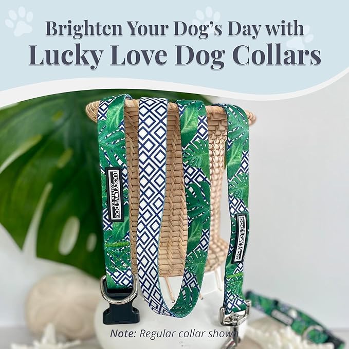 Lucky Love Dog Collar and Leash Set, Beautiful & Vivid Patterns, Easy On & Off Clasp Accessory (Blue Laguna, L Combo)