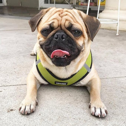 Best Pet Supplies Voyager Step-in Air All Weather Mesh Harness and Reflective Dog 5ft Leash Combo with Neoprene Handle, for Small, Medium and Large Breed Puppies - Set (Lime/Black Trim), Medium