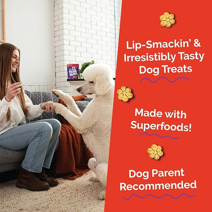 Fruitables Baked Dog Treats, Healthy Pumpkin Treat for Dogs, Low Calorie & Delicious, Made Without Wheat, Corn and Soy, Made in the USA, Allergy Friendly, Crispy Bacon and Apple Flavor, 20 oz