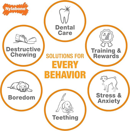 Nylabone Rib Bone Alternative Power Chew Toy for Dogs, Dog Toys for Aggressive Chewers, Beef Flavor, Large - Up to 50 lbs, 1 Count