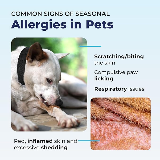Vetnique DermaBliss Dog Allergy Chews for Seasonal Allergy Itch Relief, Skin & Gut Health with Probiotics and Omega 3 Blend - Advanced or Regular Strength (30ct, Regular Strength Chews)