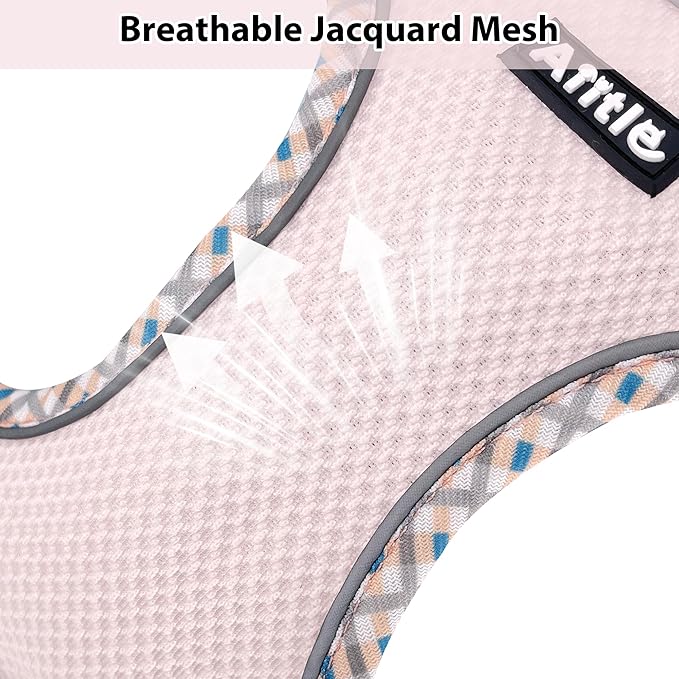 AIITLE Tiny Dog Harness - Lightweight Mesh Step-in Vest for Puppy, Reflective & Escape-Proof Design with High-Stick Magic Tape - Indoor/Outdoor Use for Chihuahua, Maltese, Shih Tzu(Blue-Pink, XXXS)