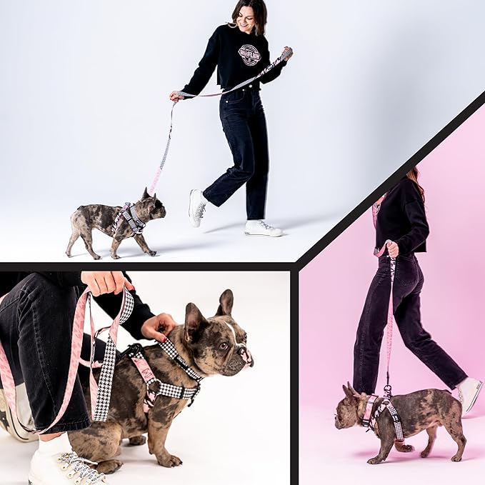 Wolfgang Heavy Duty Dog Leash, Pull-Tested to Over 800 lbs for Walking & Training, HoundsPink Print, Large