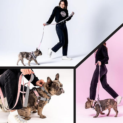 Wolfgang Heavy Duty Dog Leash, Pull-Tested to Over 800 lbs for Walking & Training, HoundsPink Print, Large