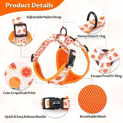 Dog Cat Harness and Leash Set, Puppia Soft Mesh Padded and Adjustable Puppy Vest Cute Dog Clothes Escape Proof Easy Walk Pet Accessories (Grapefruit, M (Neck 13.4"-16.5"; Chest 17.7"-23"))
