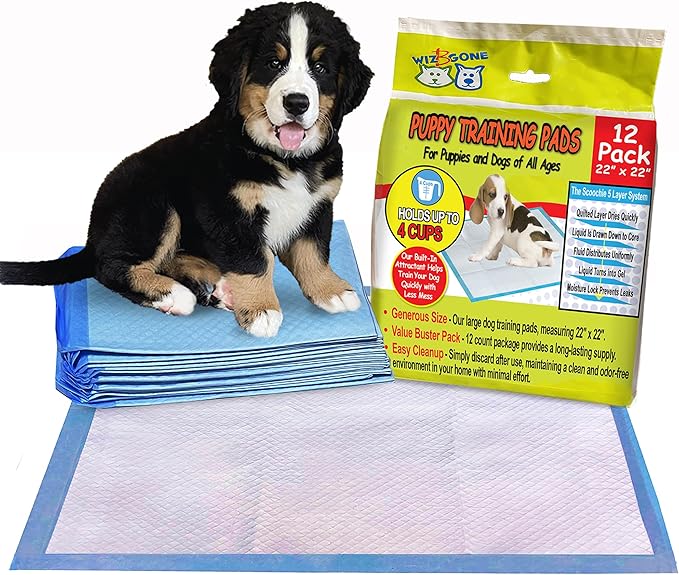 Scoochie Pets Large Dog Training Pads - 12 Pack Puppy Pads, 22 x 22 Absorbent Sheets for Adult & Young Pets - Convenient Box of Leak-Proof Pee Pads for Dogs, Ideal for Home & Travel