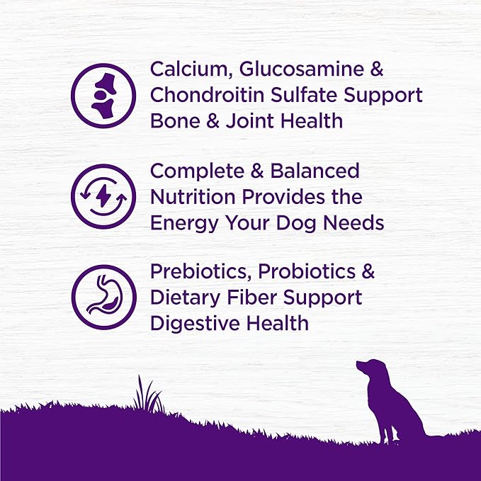 Wellness Complete Health Age Advantage Senior Dry Dog Food, Wholesome Grain Kibble, Natural, Chicken and Barley Recipe, 26 lb Bag