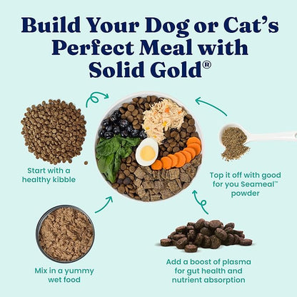 Solid Gold SeaMeal Cat Probiotic & Dog Probiotics for Digestive Health - Kelp Powder Dog & Cat Multivitamin Supplement w/Prebiotics & Digestive Enzymes for Skin, Coat, & Gut + Immune Support - 8oz