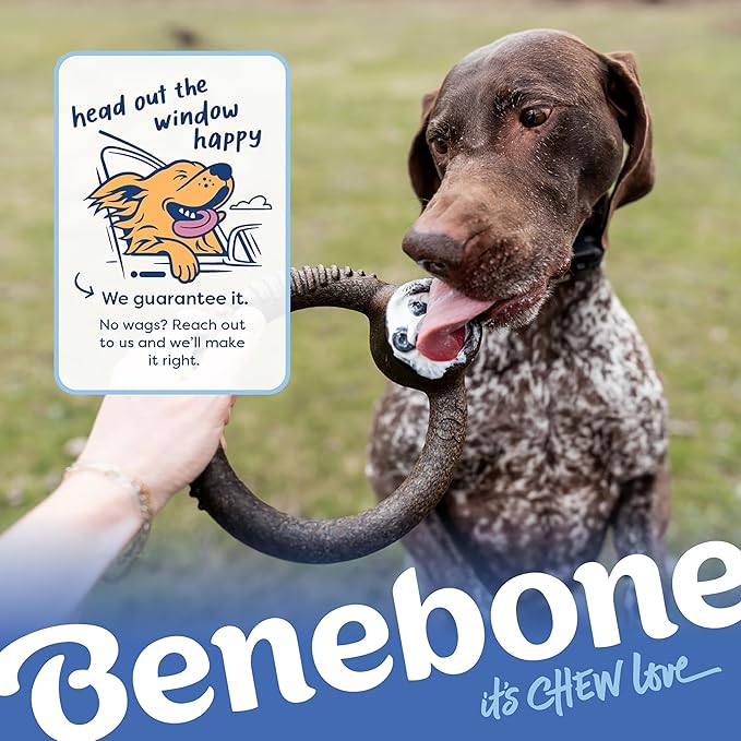 Benebone Ring Durable Dog Chew Toy for Aggressive Chewers – Limited Edition Blueberry Flavor, Small