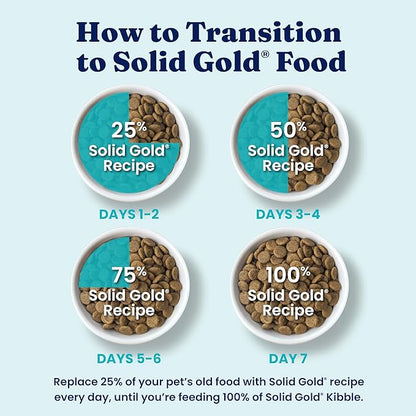 Solid Gold Lamb Dog Food Dry for Adult & Senior Dogs– High Protein Healthy Dog Kibble for Medium & Large Breeds – Whole Grain, Omega 3 & Digestive Probiotics for Gut Health & Everyday Nutrition – 4 LB
