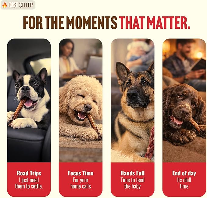 Natural Farm Odor Free Bully Sticks (7 Inch, 10 Pack), 100% Beef Pizzle Chews for Pups, Small and Medium Dogs - Fully Digestible & Best Natural Dental Treats to Keep Your Dog Busy & Happy