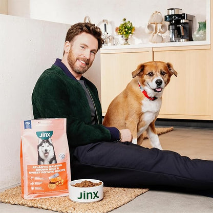 Jinx Premium Dry Dog Food, for All Lifestages - Real Beef, Brown Rice & Sweet Potato Kibble with Superfoods for Immune Support & Probiotics for Digestive Support - No Fillers - 4lb