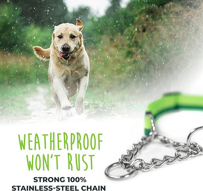 Mighty Paw Martingale Dog Collar - Gentle Correction with No More Pulling - Strong 100% Stainless Steel Chain - Weatherproof Won't Rust - Built to Last Premium Quality Nylon - Durable Plastic Buckle